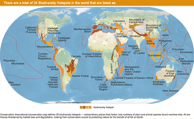 Biodiversity Hotspots of the World