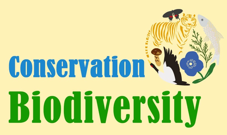 Why Conservation of Biodiversity is important? -