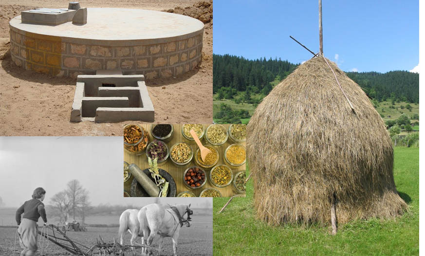 Traditional Knowledge