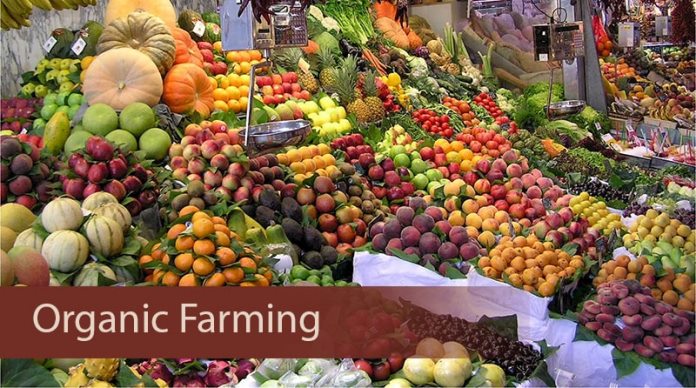 Organic Farming, Advantages and Objectives - The Mighty Earth